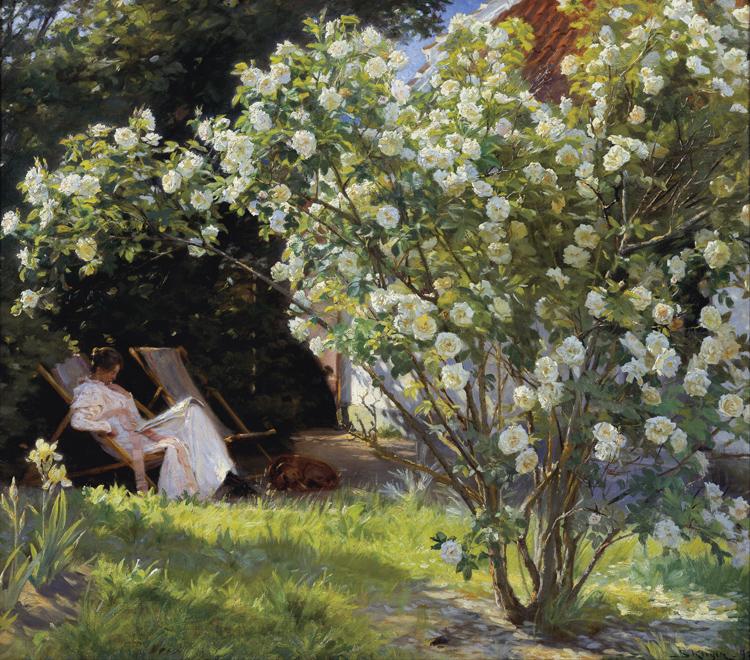 Peder Severin Kroyer Roses Garden in Skagen (nn02) oil painting picture